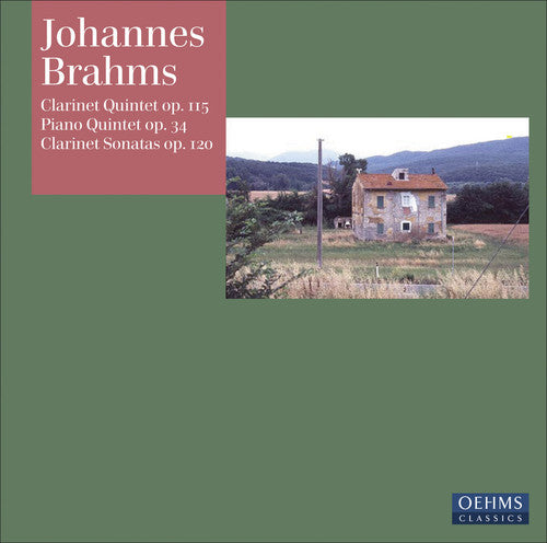 Brahms / Perl / Manno / Schiefen / Rohde / Cunz - Clarinet Quintet - Music CD