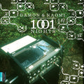 Damon & Naomi - 1001 Nights - Vinyl Record