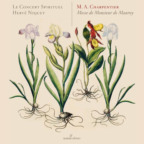 Charpentier / Le Concert Spirituel / Niquet - Messe De Monsieur De Mauroy - Music CD