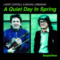 Coryell,larry - Quiet Day In Spring - Music CD