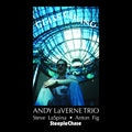 Laverne Trio - Glass Ceiling - Music CD