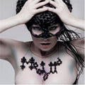 Bjork - Medulla - DVD
