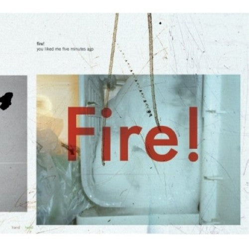 Fire - You Liked Me Five Minutes Ago - Vinyl Record