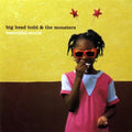 Big Head Todd & Monsters - Beautiful World - Music CD