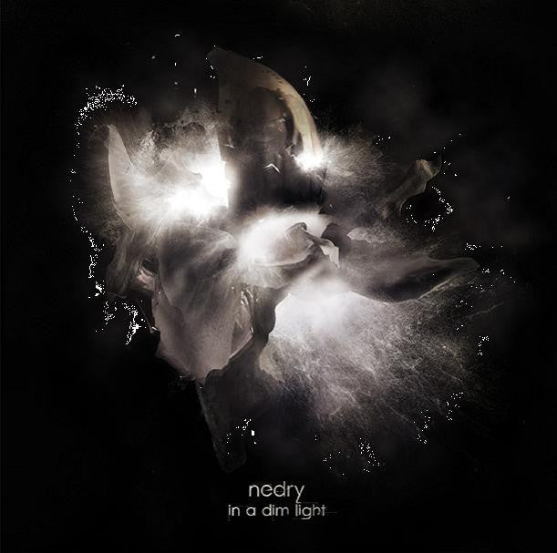 In A Dim Light Vinyl Record