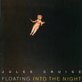 Floating Into The Night [Import]