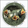 Hunee - Brother - Vinyl Record