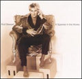 Stewart,rod - Spanner In The Works - Music CD