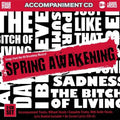 Karaoke: Spring Awakening Songs From The / Various - Karaoke: Spring Awakening Songs From The / Various - Music CD
