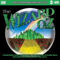 Karaoke: Wizard Of Oz - Songs From Musical / Var - Karaoke: Wizard Of Oz - Songs From Musical / Var - Music CD