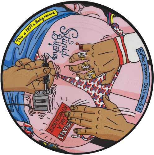 Dsl - Stupid Bitches - Vinyl Record