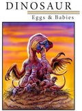 Dinosaur Eggs & Babies - Dinosaur Eggs & Babies - DVD