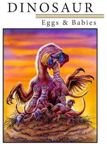 Dinosaur Eggs & Babies - Dinosaur Eggs & Babies - DVD