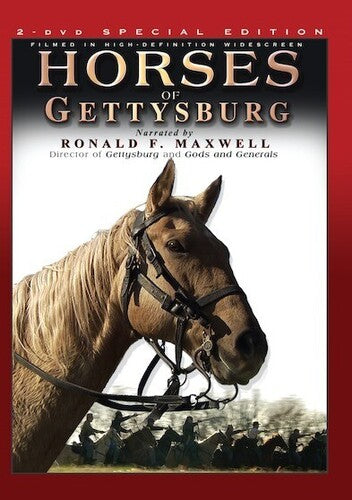 Horses Of Gettysburg - Horses Of Gettysburg - DVD