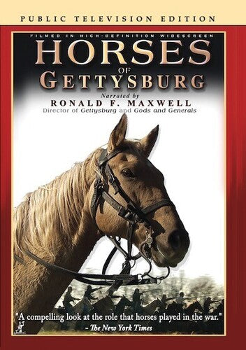 Horses Of Gettysburg - Horses Of Gettysburg - DVD