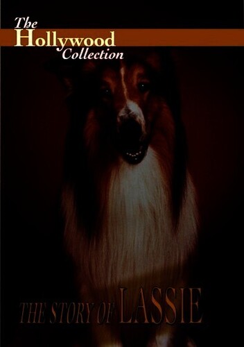 Hollywood Collection: The Story Of Lassie - Hollywood Collection: The Story Of Lassie - DVD