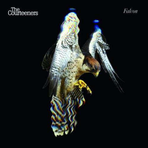 Courteeners - Falcon - Music CD