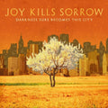 Joy Kills Sorrow - Darkness Sure Becomes This City - Music CD
