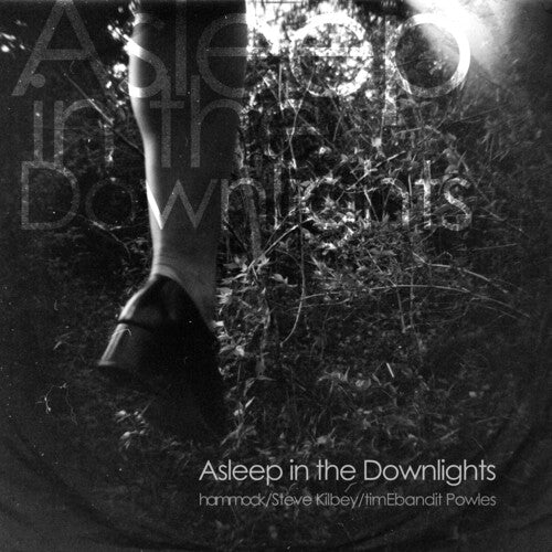 Hammock - Asleep In The Downlights - Vinyl Record