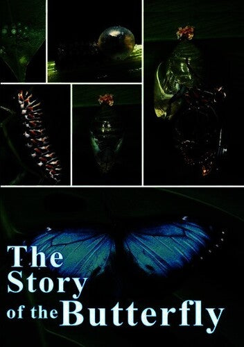 Story Of The Butterfly - Story Of The Butterfly - DVD