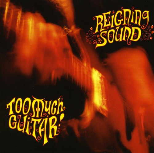Reigning Sound - Too Much Guitar - Vinyl Record