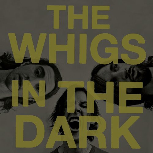 In The Dark Vinyl Record