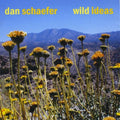 Schaefer,dan - Wild Ideas - Music CD