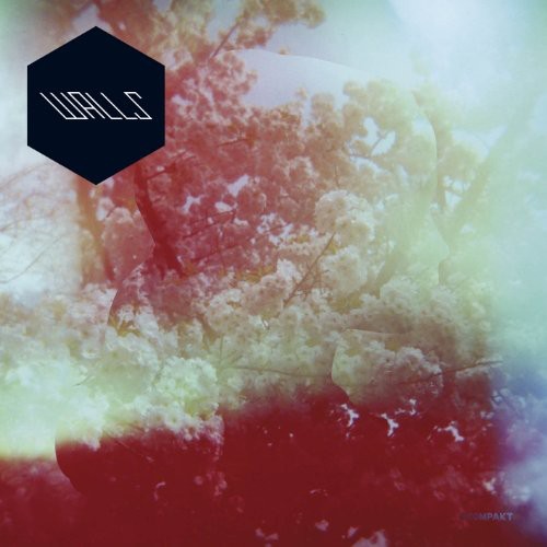 Walls - Walls - Vinyl Record