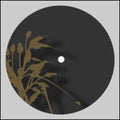 Rah - Fall Of Justice - Vinyl Record