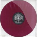 Radiq - Mo Roots - Vinyl Record