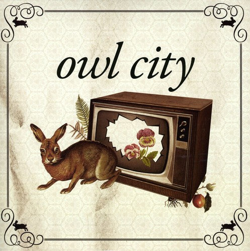 Owl City - Owl City Record Store Day - Vinyl Record