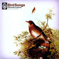 Bird Songs / Various - Bird Songs / Various - Vinyl Record