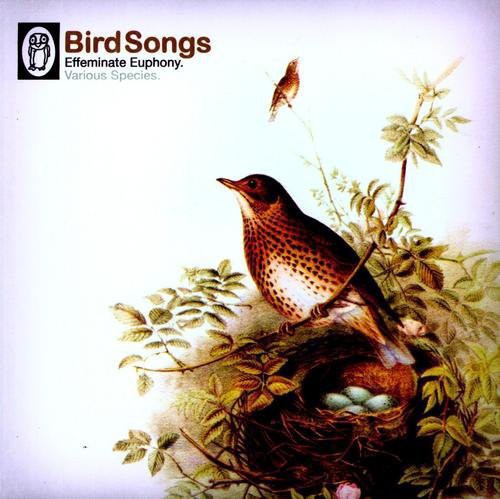 Bird Songs / Various - Bird Songs / Various - Vinyl Record