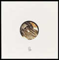 Dye - Cristal D'acier - Vinyl Record