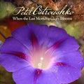 Ostroushko,peter - When The Last Morning Glory Blooms - Music CD