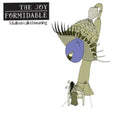 Joy Formidable - Balloon Called Moaning - Music CD