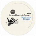Flavour,james & Sasse - Who's In The House - Vinyl Record