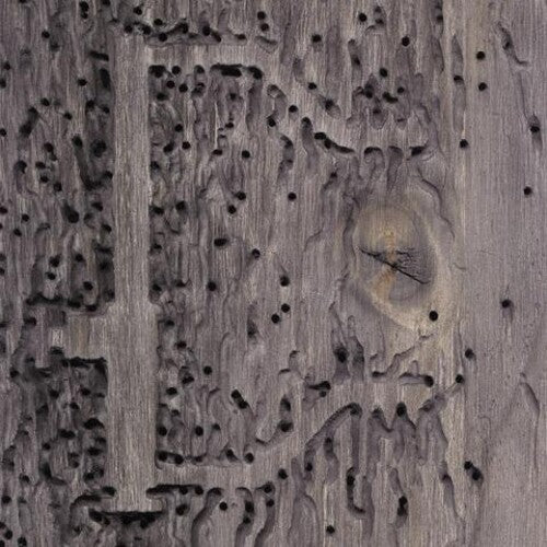 Dj Signify - Sleep No More - Music CD