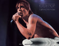 Pop,iggy - California Hitchhike - Music CD