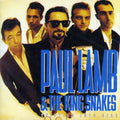 Lamb,paul & King Snakes - Shifting Into Gear - Music CD