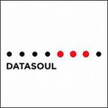Datasoul - Digital Disorder - Vinyl Record