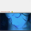 Strays Dont Sleep - Strays Don't Sleep - Music CD