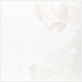 Did - Kumar Solarium - Vinyl Record