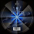 Skwerl - Best I Can Do - Vinyl Record