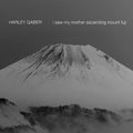 Gaber / Gilbert / Cummisky - I Saw My Mother Ascending Mount Fuji - Music CD