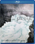 Grieg / Trondheimsolistene / Amper / Gimse - Trondheimsolistene: In Folk Style - Blu-ray Audio