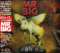 Mr Big - What If - Music CD