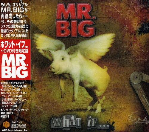 Mr Big - What If - Music CD