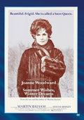 Summer Wishes: Winter Dreams - Summer Wishes: Winter Dreams - DVD