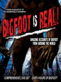 Bigfoot Is Real: Sasquatch To The Adominable - Bigfoot Is Real: Sasquatch To The Adominable - DVD